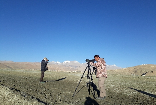 Ladakh Bird Festival 2018 