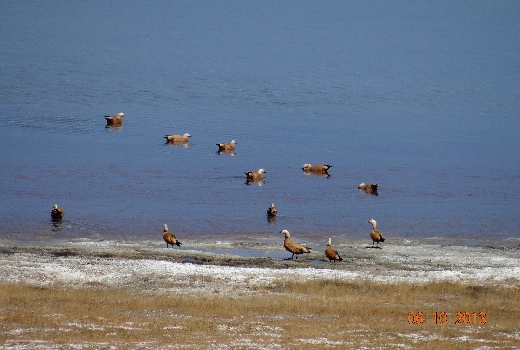 World Wetlands Day 